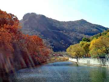 澳门二四六天天彩图库，云道天斋